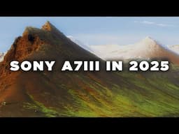 Should You Buy The Sony A7III In 2025? - Watch Before You Buy