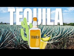 Tequila Making Process I Types of Tequila I Alcohol percentage I Tequila Blanco I Añejo Tequila I