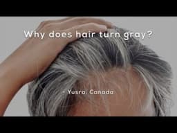 Why does hair turn grey?