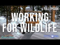 Working for Wildlife l Outdoor Idaho