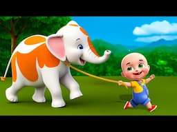 Baby Elephant in The Farm Song New Compilation | Animals Farm | Baby Cartoon & Kids Songs Baby Bobo