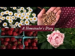 Spring Advances Into Summer | A Homesteader's Diary