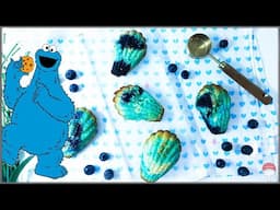 Cookie Monster Blueberry Madeleines Cookies Cake Recipe 🍪 Cookie Monster Birthday Ideas