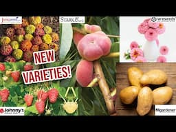 Exciting NEW Varieties To Plant In 2025 | MIgardener, Johnny's Seeds, Baker Creek, Stark Bros