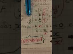 Origine de la formule du déterminant vérifiant la colinéarité de 2 vecteurs