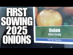 How To Grow Onions From Seed  Sowing The Seeds [Container Gardening ]