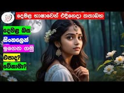 අපි දෙමළ කතා කරමු - මූලික පාඩම්  | Let's Speak Tamil! - Basic to Advanced Lessons" | Punchi Danuma