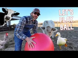 Playing Ball With Farm Animals! (Fun)