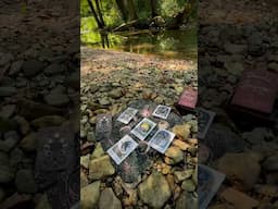 Creekside with my Phases and Forests Oracle Deck. #forest #nature #oraclereading