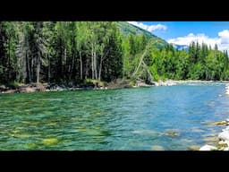 Tranquil River Flowing Through Sonic Nature |10 Hours of Running Water River Sounds for Sleep/ Relax