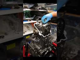 BIG BORE 690 ENGINE BUILD | Part 3 | Mistakes were made! 👀 … #motorcycle #690 #701 #bigbore #shorts