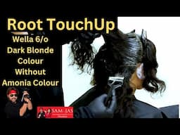 Root Touch With Colour Touch Wella 6/0 Dark Blonde No Ammonia Colour by Jas Sir from Sam and Jas