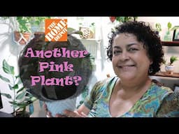 Home Depot Field Trip 🚗With Me and Plant Haul 🌱💚.