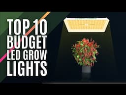 Top 10: Best Budget LED Grow Lights of 2023 / Full Spectrum Plant Growth Lamp