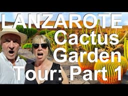 Cactus Garden, Lanzarote - Jardín de Cactus, César Manrique Tour