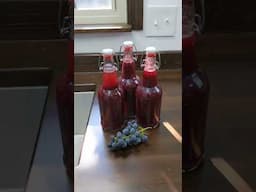 Making Grape Juice Straight Off the Vine