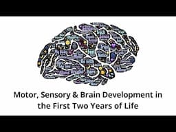 Motor, Sensory & Brain Development (Baby Brain Development)