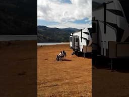 Living OFF GRID in an RV #rvlife #shorts #fyp #offgrid