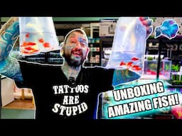 YOU HAVE TO SEE THESE AMAZING FISH! Pauls Aquariums Live Fish Unboxing!