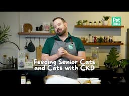 Feeding Senior Cats & Managing CKD: A Nutrition Guide for Better Kidney Health