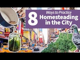 8 Ways to Practice Homesteading While Living in a City