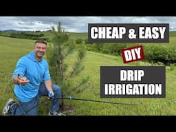 DIY Above Ground Drip Irrigation - The Cheap and Easy Way!