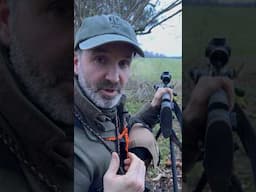 Evening stalk….with the dogs 💩😳 #hunting #deer #food #deerhunting #meat   #savagearms  #vortex