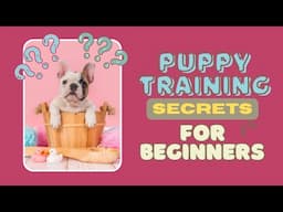 Top 10 Puppy Training Secrets For Beginners: Say Goodbye to Bad Habits