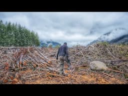 EP16 RAINY NOVEMBER- Harvesting Firewood in the Foggy Mountains, Wind Storms and Earthy Dinner