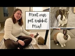 WE ADOPTED A RABBIT | Meet Mia, our 2-year-old Dutch bunny!