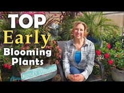 Top Early Blooming Flowers for Cool Weather | Color Your Garden NOW!