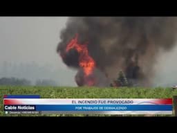 10 FEB 2025 Incendio forestal en hacienda San Enrique fue provocado por trabajos de desmalezado