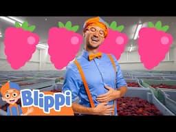 Raspberry Song | Learning Videos with Blippi