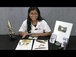 Fun Microscopes: Carson MicroMini