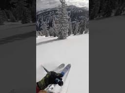 POWDER SKIING IS BACK!!! #backcountryskiing