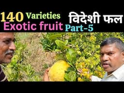 Exotic fruit farming, बिदेसी फल, 140 verities fruit farm in karnataka, part-5, #exoticfruits