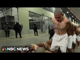 El Salvador offers to put American criminals in its mega prison