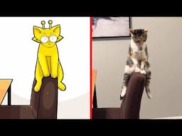 Cat Memes: Sprunki Incredibox | Try Not To Laugh With These Funny Animals