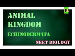 Echinodermata | Animal Kingdom | Neet Biology | Neet | Neet Zoology | Biology Blog