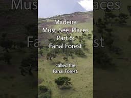 Madeira Must See Places Part 6: Fanal Forest #madeirabeach #madeiraisland #visitportugal