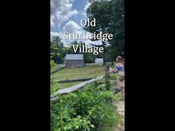 Old Sturbridge Village #shorts