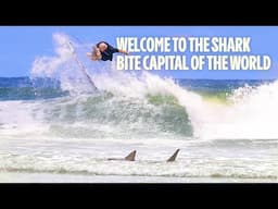 Was This A Bad Idea? Surfing At The Sharkiest Wave On The Planet! | Stab Highway East Coast USA