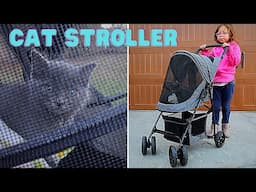 We Bought a Pet Stroller for our New Cat!