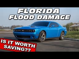 Hurricane Flood Damage Dodge Challenger Purchase