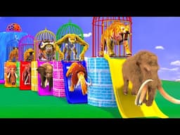 choose the right tiger wolf mammoth elephant long slide game paint animals crossing fountain new cow