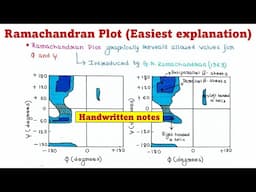 Ramachandran Plot | Biochemistry