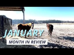 January in Review - 4.5 hours of rescuing horses!