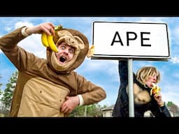 Welcome to Ape Town