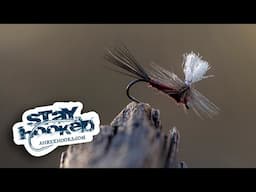 Ahrex - Isonycia Dry Fly - by Tim Flagler