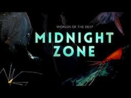 Into the Midnight Zone: Secrets of the Ocean Void